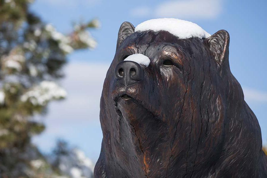 Bronze bear covered with snow